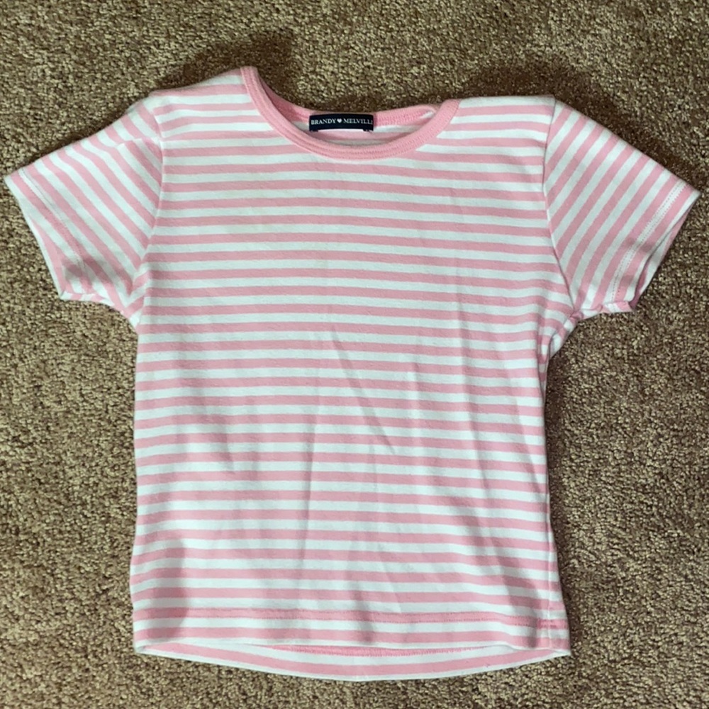 Brandy Melville Cropped Top